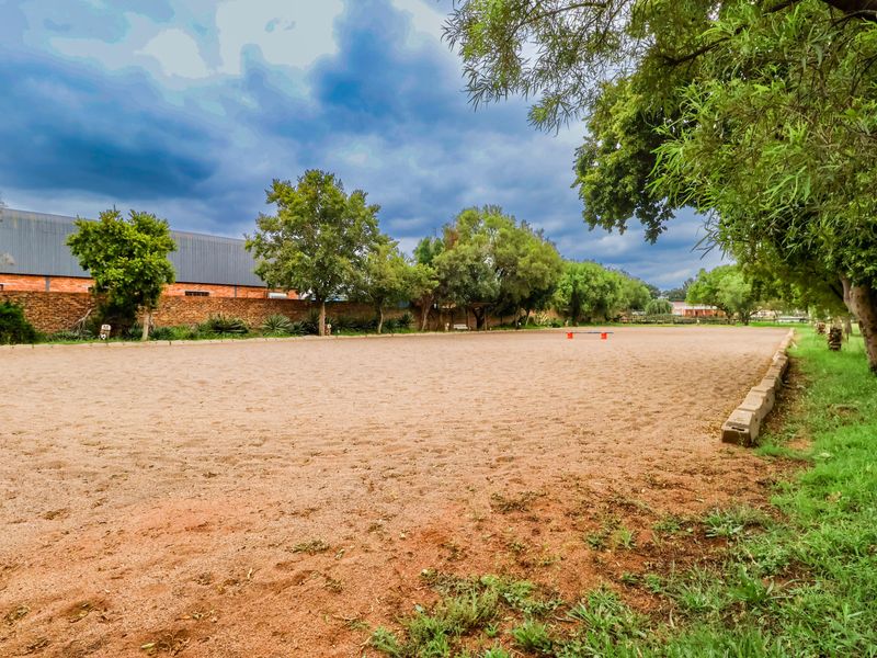 A well-maintained outdoor sand riding arena on a small holding, featuring perimeter brick walling and established trees.