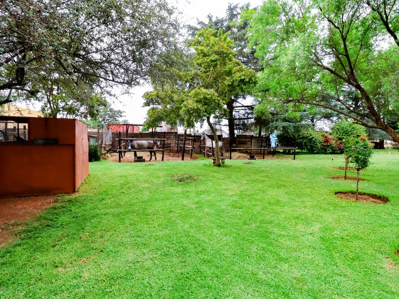 A spacious garden area on a small holding featuring established trees, a well-maintained lawn, and outdoor stable enclosures.