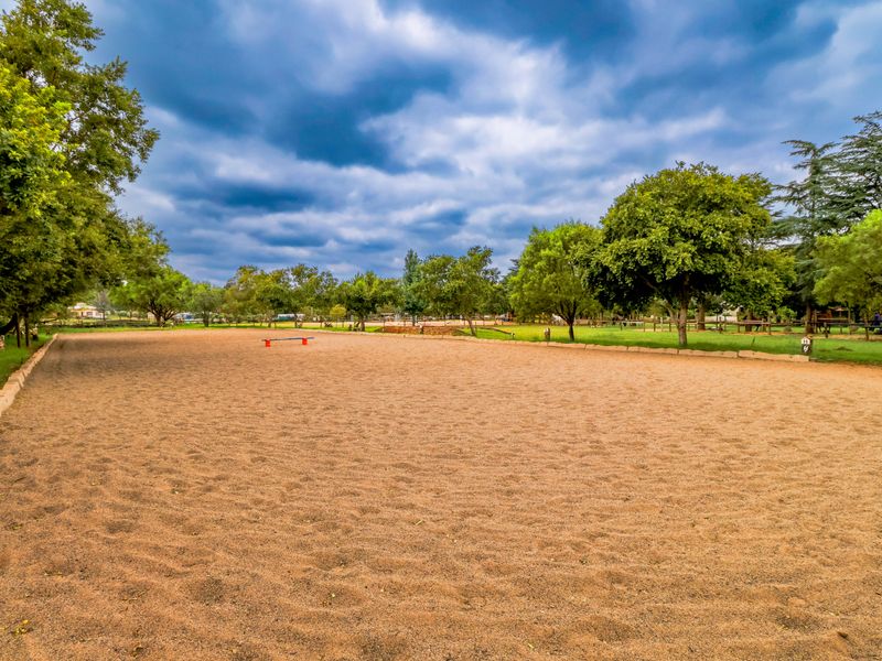 A well-maintained outdoor sand riding arena surrounded by mature trees and perimeter fencing, suitable for equestrian activities on the small holding.