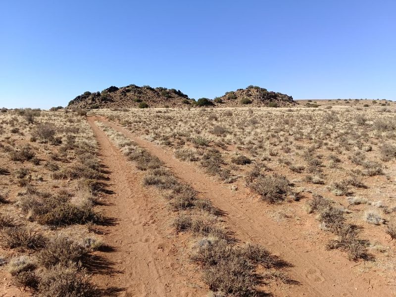 Victoria West Livestock Farm - Photo 7