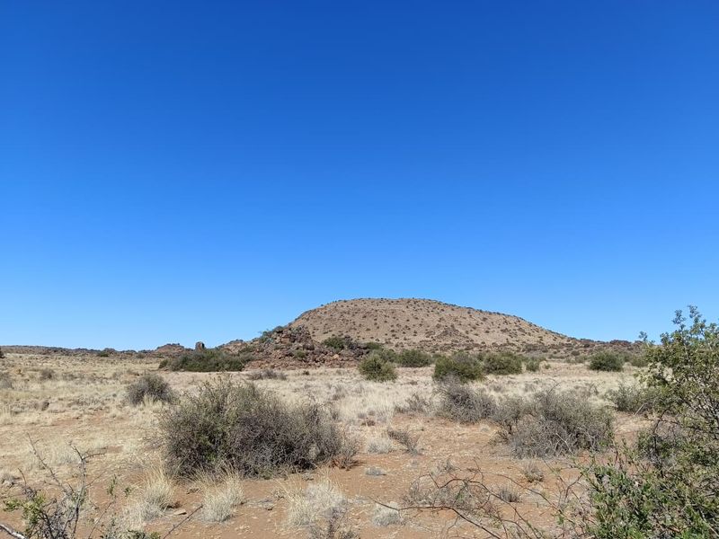 Victoria West Livestock Farm - Photo 6