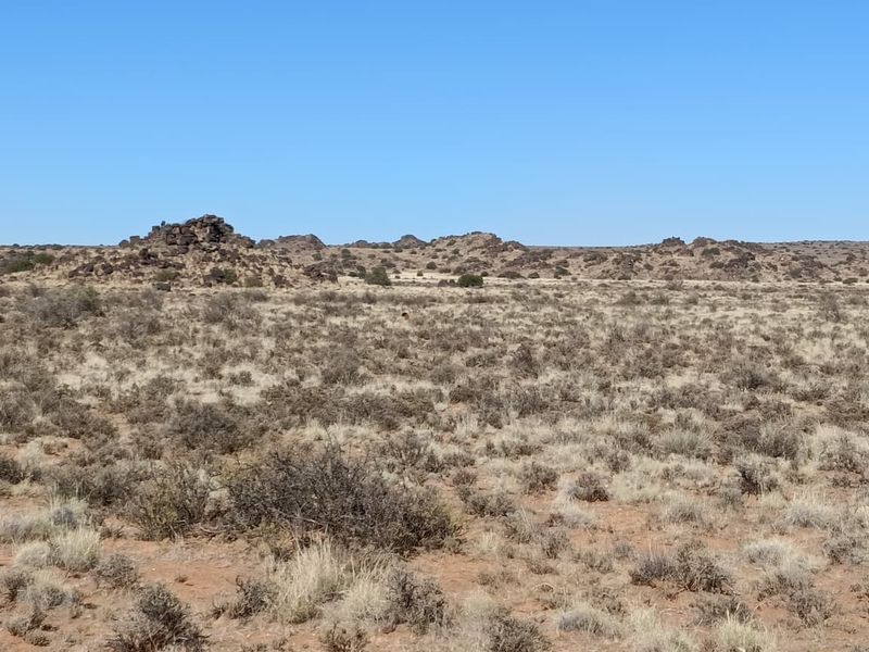 Victoria West Livestock Farm - Photo 10