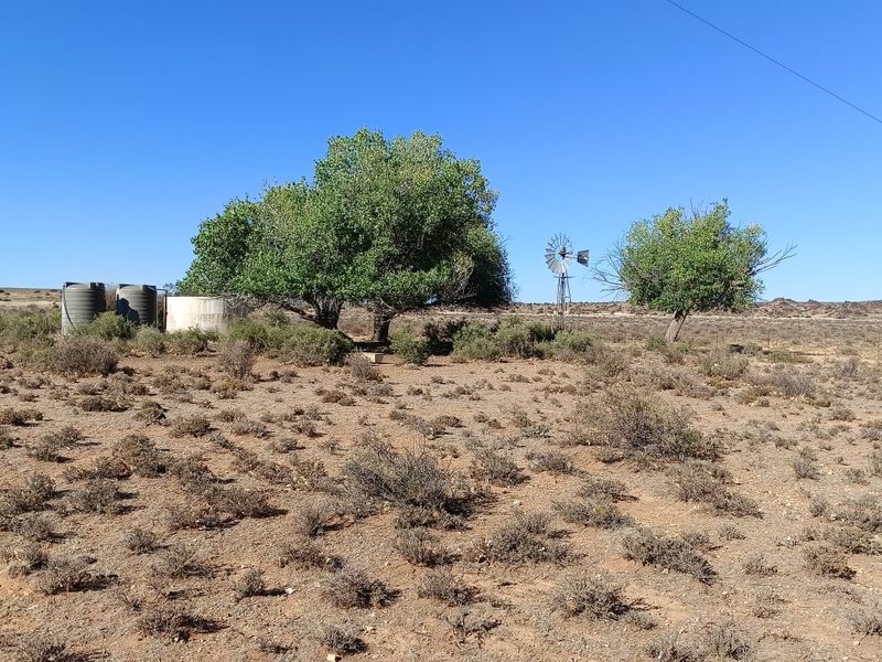 Victoria West Livestock Farm - Photo 9