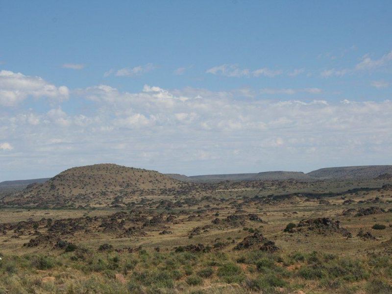 Victoria West Livestock Farm - Photo 2