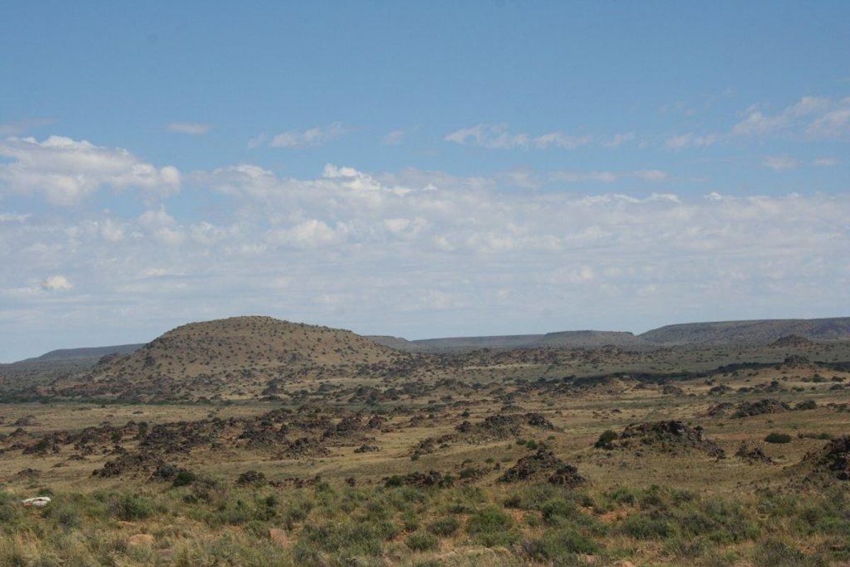 Victoria West Livestock Farm - Photo 2