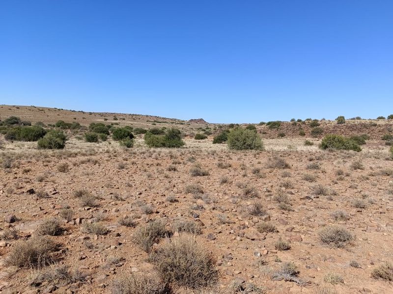 Victoria West Livestock Farm - Photo 4