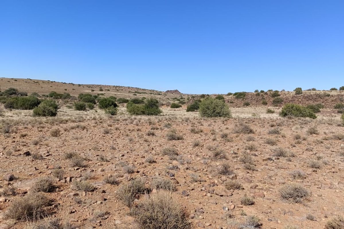 Victoria West Livestock Farm - Photo 4