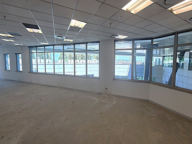 An empty, open-plan office space featuring large windows, a suspended ceiling with recessed lighting, and unfinished concrete flooring, ready for custom fit-out.