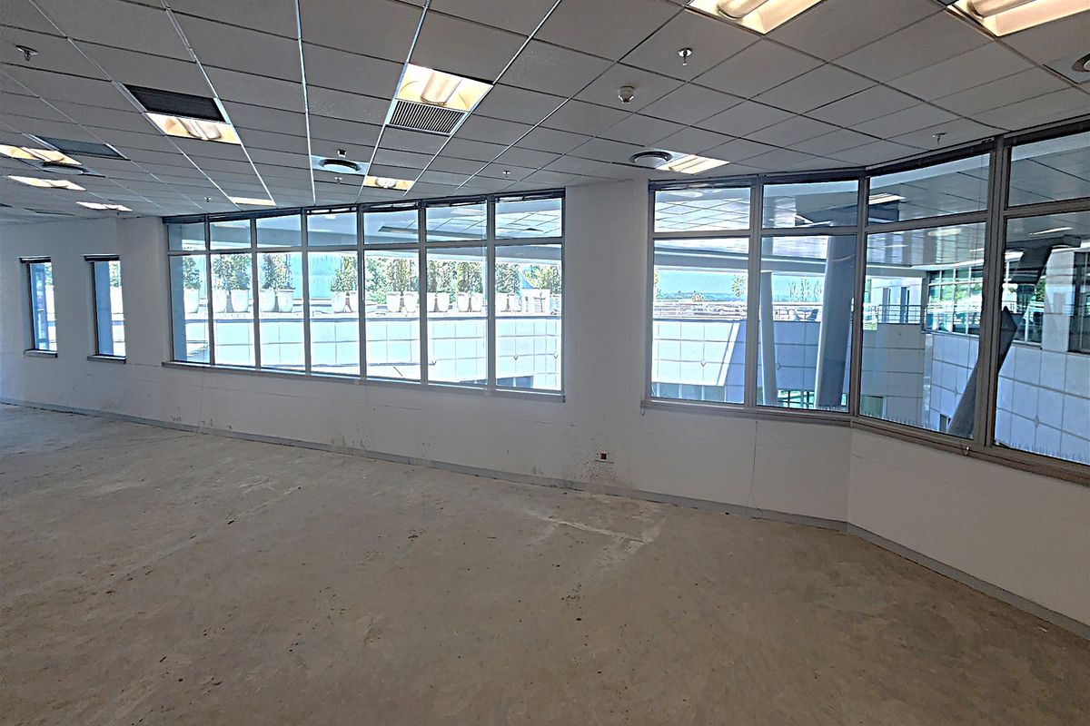 An empty, open-plan office space featuring large windows, a suspended ceiling with recessed lighting, and unfinished concrete flooring, ready for custom fit-out.