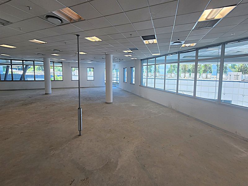 Spacious open-plan office area featuring a suspended ceiling, recessed lighting, structural columns, and extensive windows providing ample natural light.