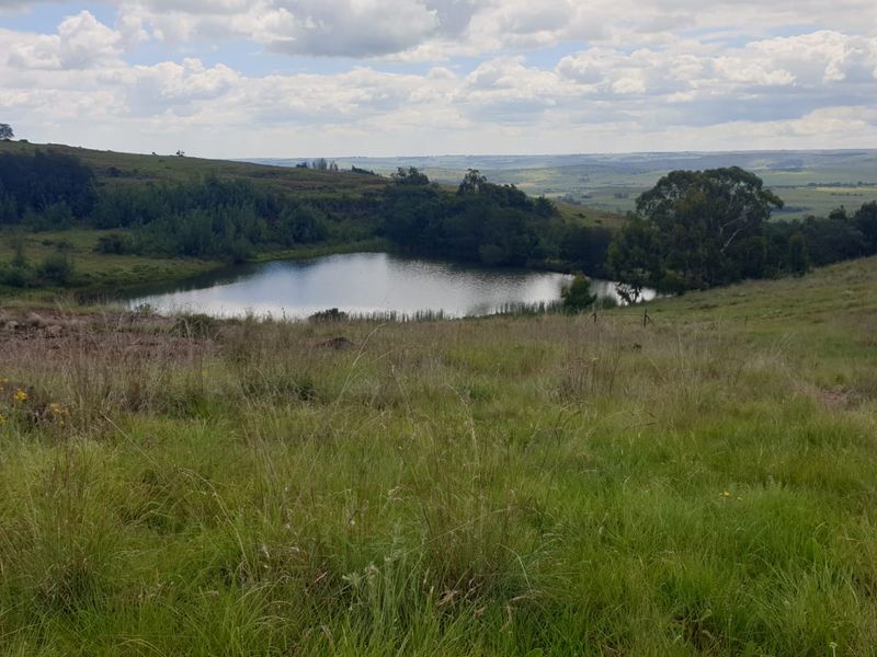 Exceptional cattle farm - Photo 3