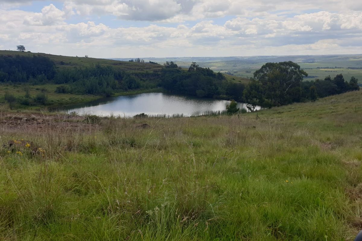 Exceptional cattle farm - Photo 3
