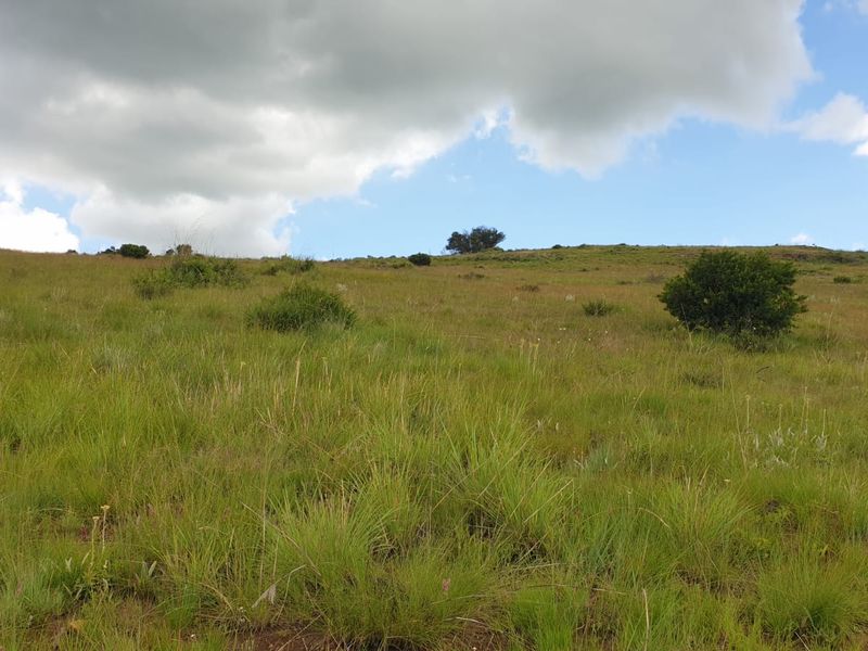 Exceptional cattle farm - Photo 8