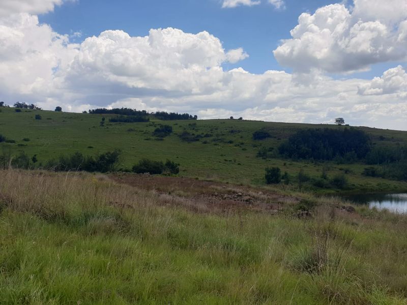 Exceptional cattle farm - Photo 6
