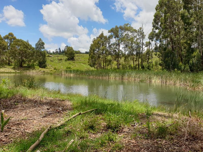 Exceptional cattle farm - Photo 5