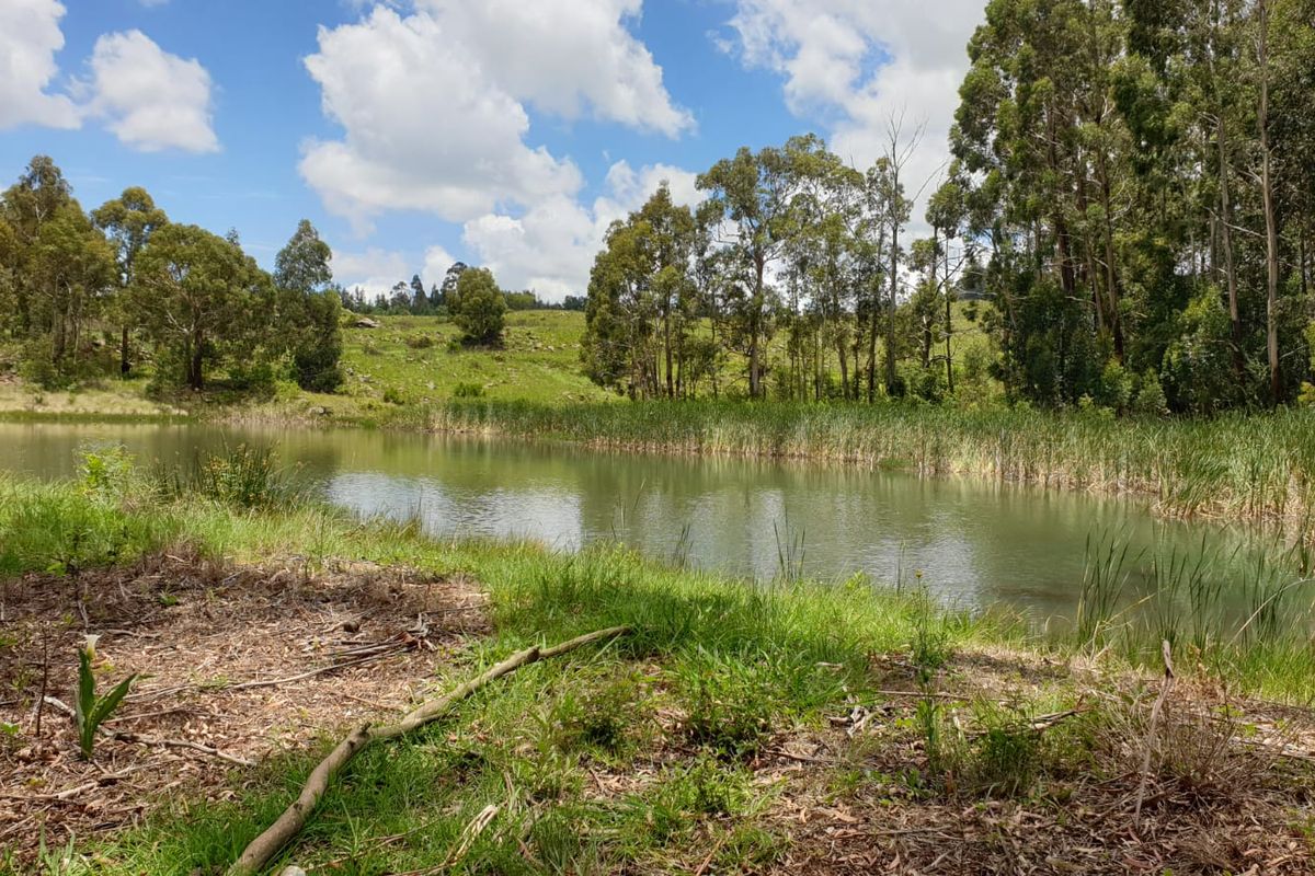 Exceptional cattle farm - Photo 5