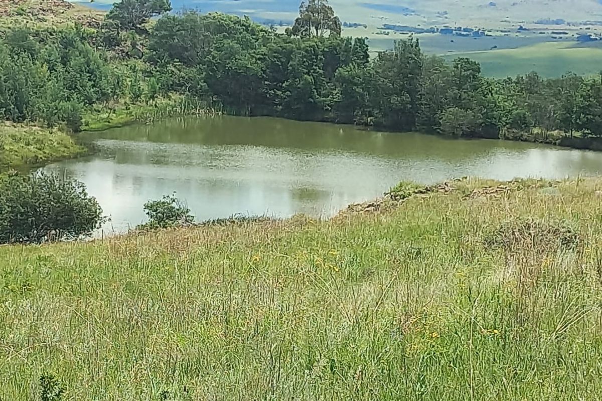 Exceptional cattle farm - Photo 4