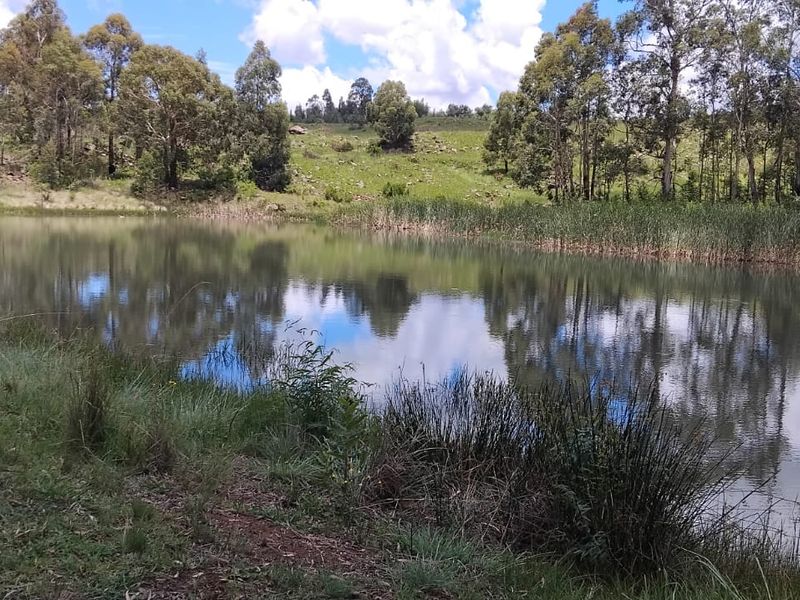 Exceptional cattle farm - Photo 2