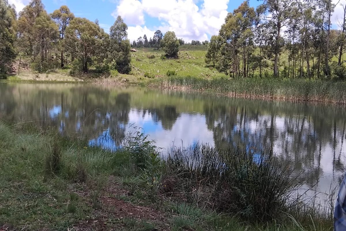Exceptional cattle farm - Photo 2