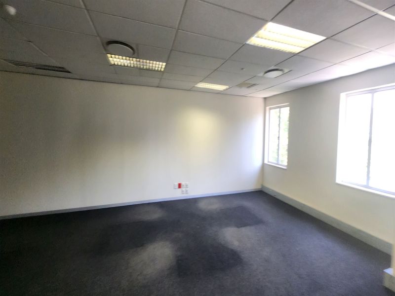 An empty office space featuring a suspended ceiling with recessed lighting, large windows, and worn carpet flooring.