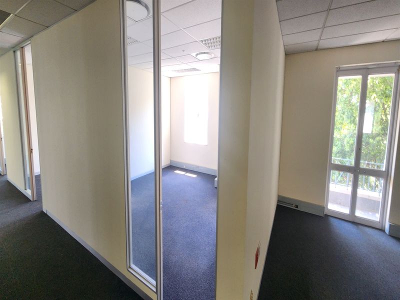 An empty office space featuring carpeted flooring, a suspended ceiling with recessed lighting, and glass partitions providing a bright, professional work environment.
