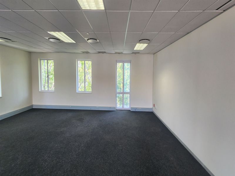 A spacious, empty office area featuring a suspended ceiling with recessed lighting, carpeted flooring, and multiple windows providing natural light.