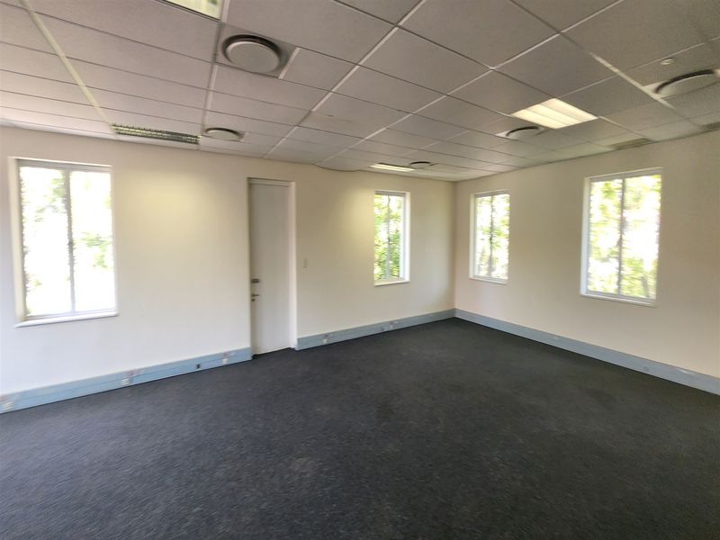 A spacious, empty office area featuring a suspended ceiling, recessed lighting, and carpeted flooring with multiple windows providing natural light.