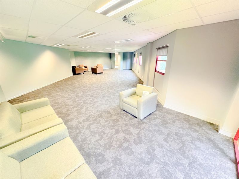 Spacious open-plan office area featuring neutral carpeting, suspended ceiling with recessed lighting, and large windows providing natural light.
