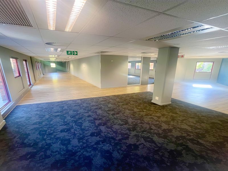 Spacious open-plan office area featuring a mix of carpet and laminate flooring, suspended ceilings with recessed lighting, and large windows providing natural light.
