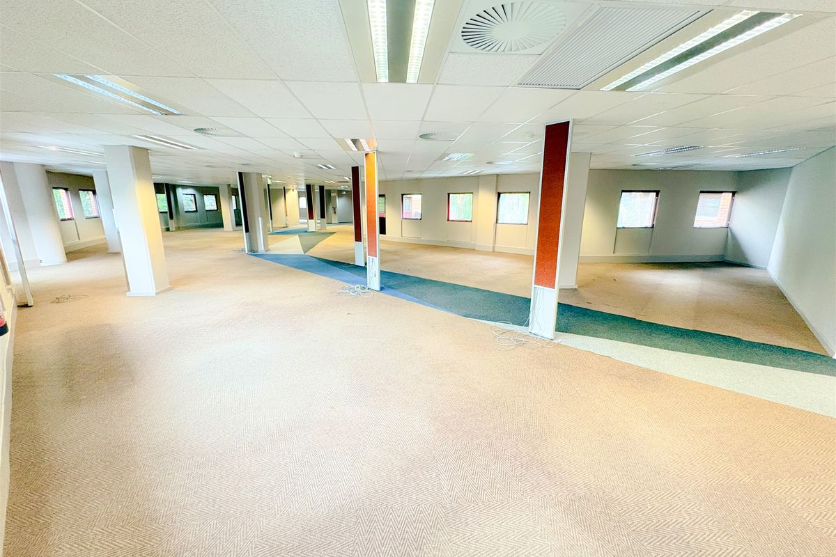 A spacious, open-plan office area featuring a suspended ceiling with recessed lighting, structural columns, and carpeted flooring throughout.