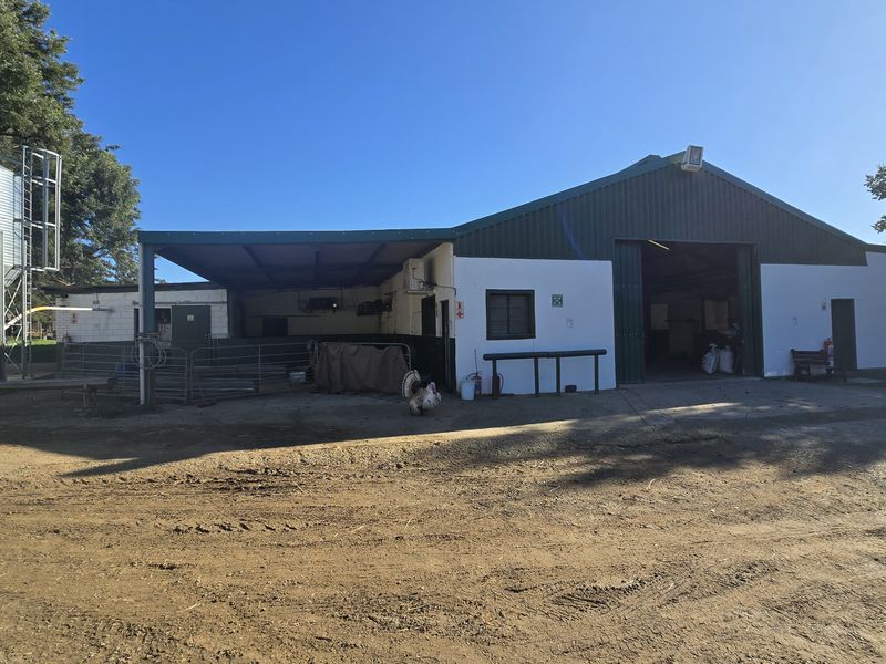 Agter-Groenberg farm for sale in Wellington - Photo 10