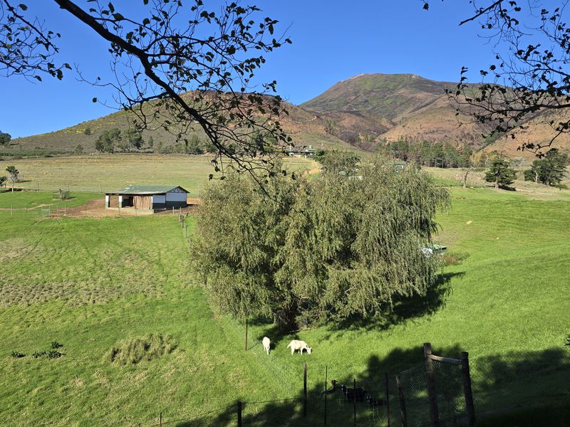 Agter-Groenberg farm for sale in Wellington - Photo 9