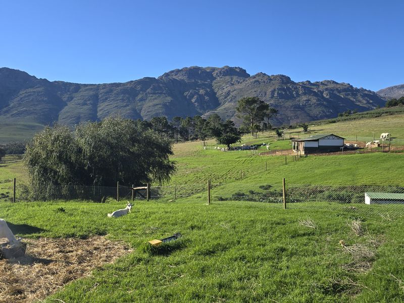 Agter-Groenberg farm for sale in Wellington - Photo 8