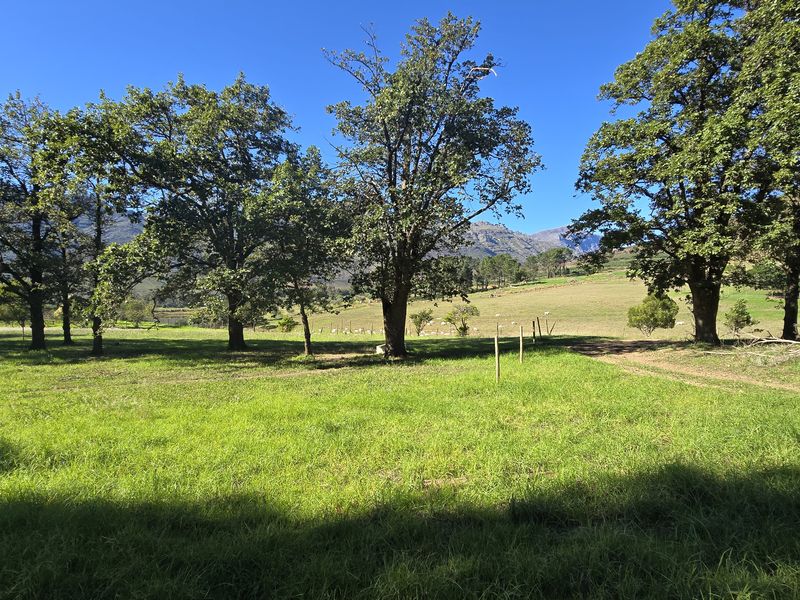 Agter-Groenberg farm for sale in Wellington - Photo 5