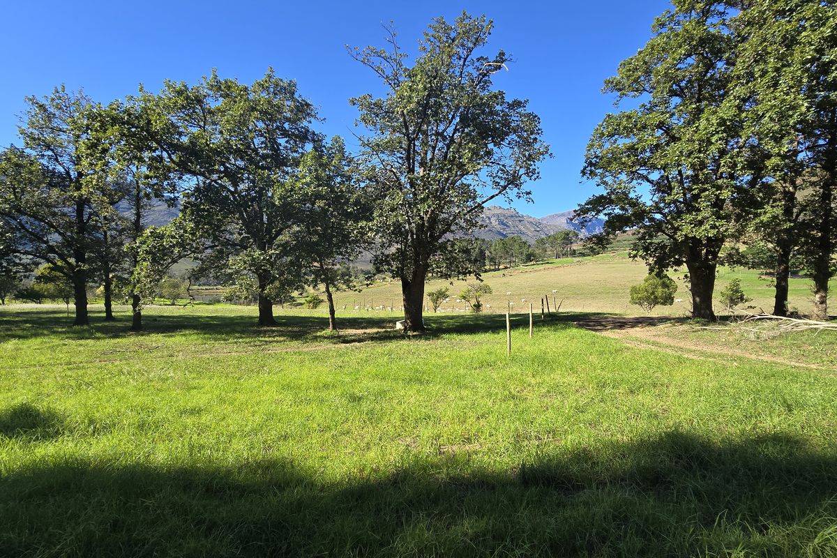 Agter-Groenberg farm for sale in Wellington - Photo 5