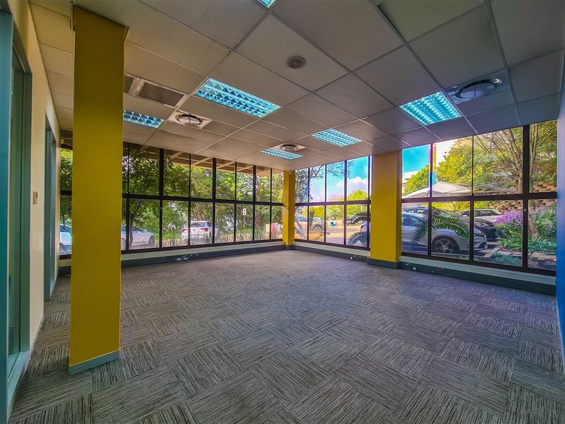 A bright, open-plan office space featuring large floor-to-ceiling windows, carpet tiles, and a suspended ceiling with recessed lighting.