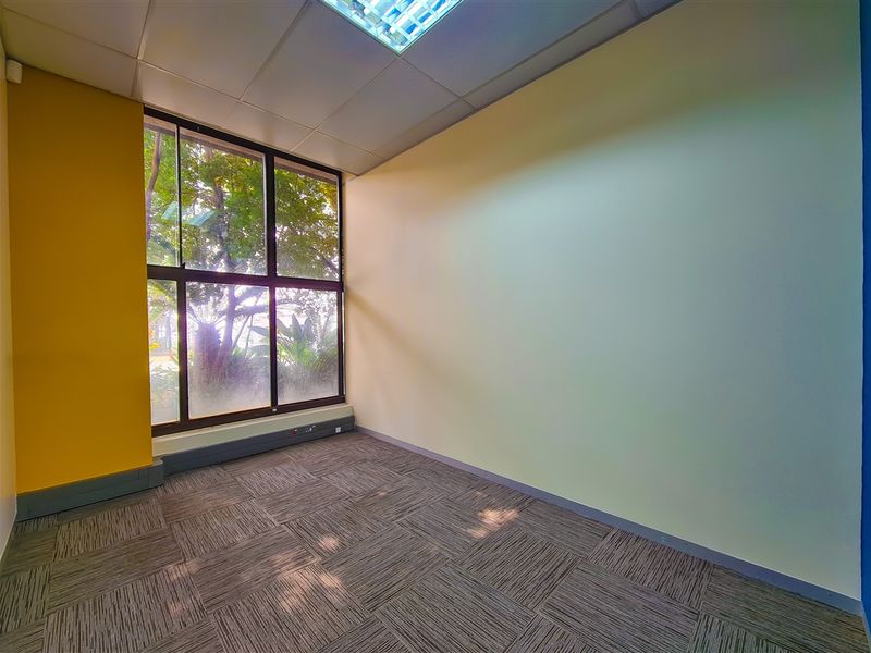 A vacant office space featuring carpet tiles, a suspended ceiling with recessed lighting, and a large window providing natural light and garden views.