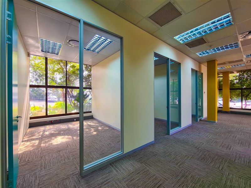 A bright, vacant office space featuring modern aluminium and glass partitions, carpeted flooring, and large windows providing ample natural light.