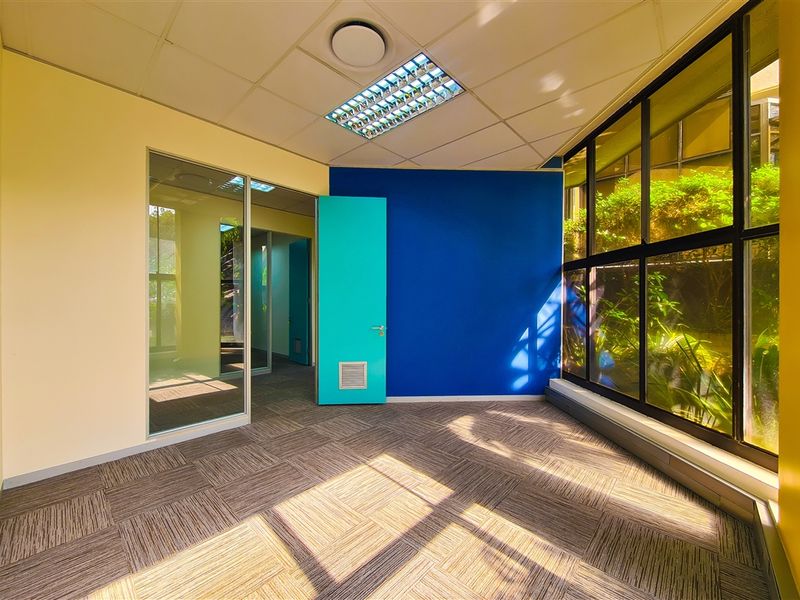 A bright, empty office space featuring carpet tiles, a suspended ceiling with recessed lighting, and large windows overlooking greenery.