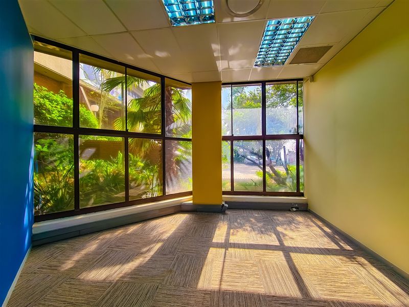 A bright, empty office space featuring large windows with garden views, carpet tiles, and a suspended ceiling with recessed lighting.