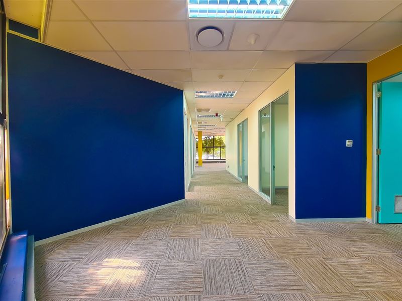 A bright, modern office hallway featuring carpet tile flooring, suspended ceilings with recessed lighting, and glass-partitioned office entrances.