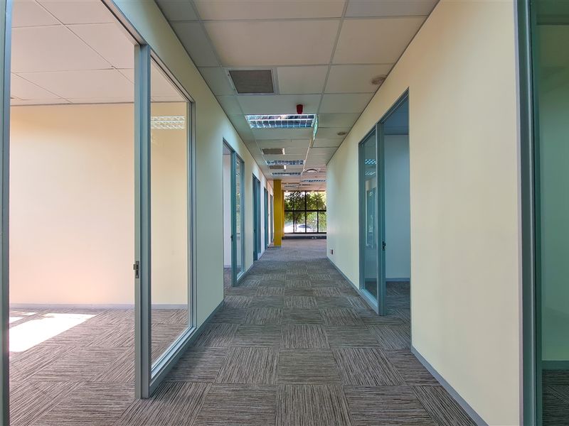 A bright, modern office hallway featuring glass partition walls, carpet tile flooring, and a suspended ceiling with recessed lighting.