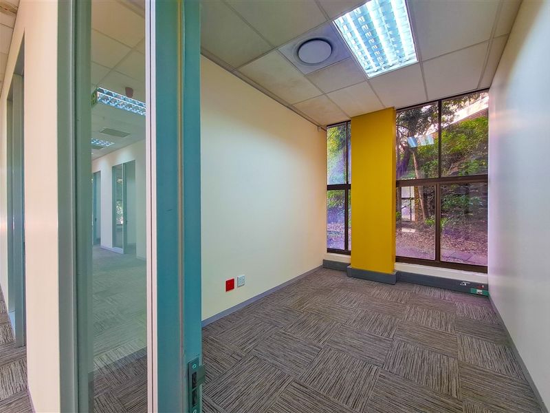 A bright, empty office space featuring carpet tiles, a suspended ceiling with recessed lighting, and large windows providing natural light and garden views.