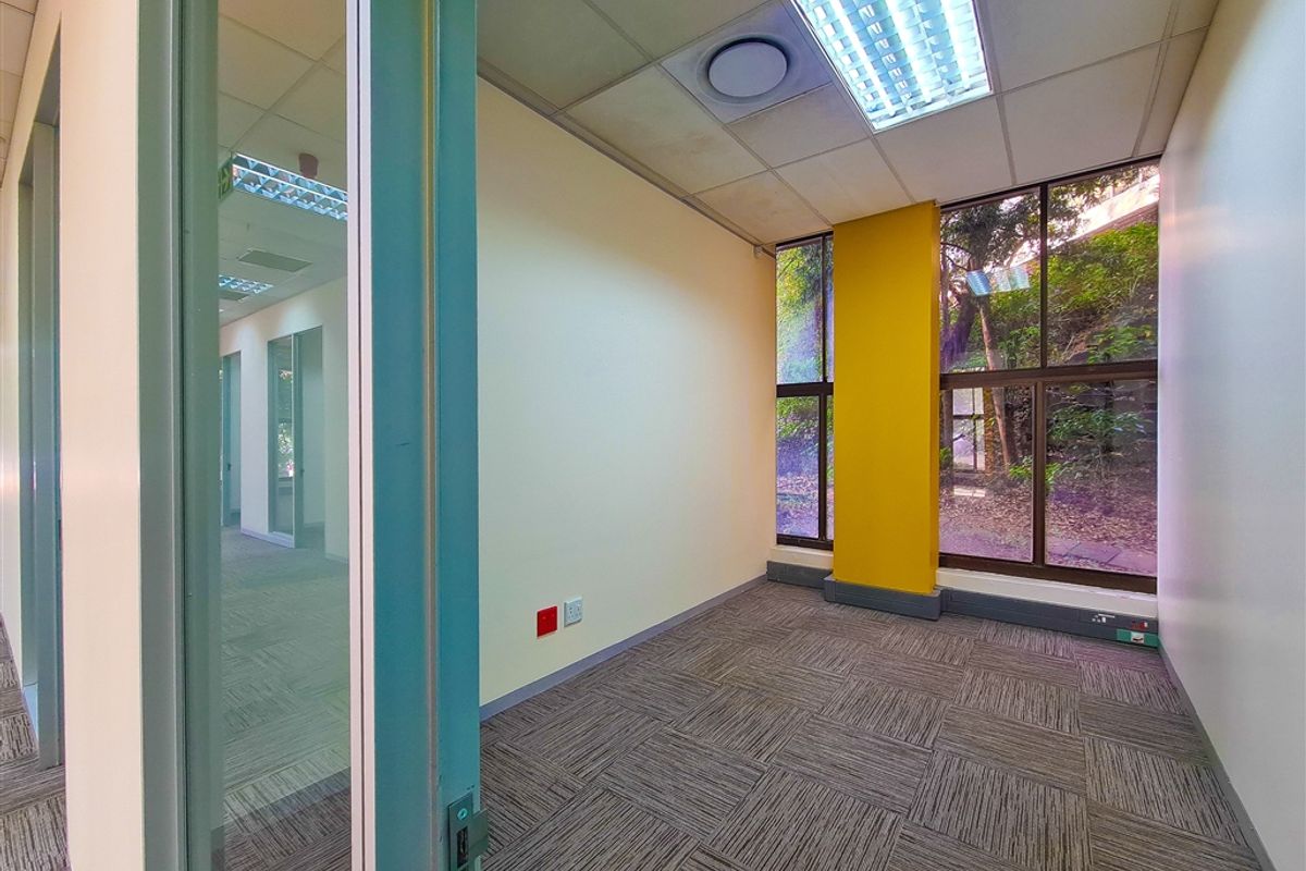 A bright, empty office space featuring carpet tiles, a suspended ceiling with recessed lighting, and large windows providing natural light and garden views.