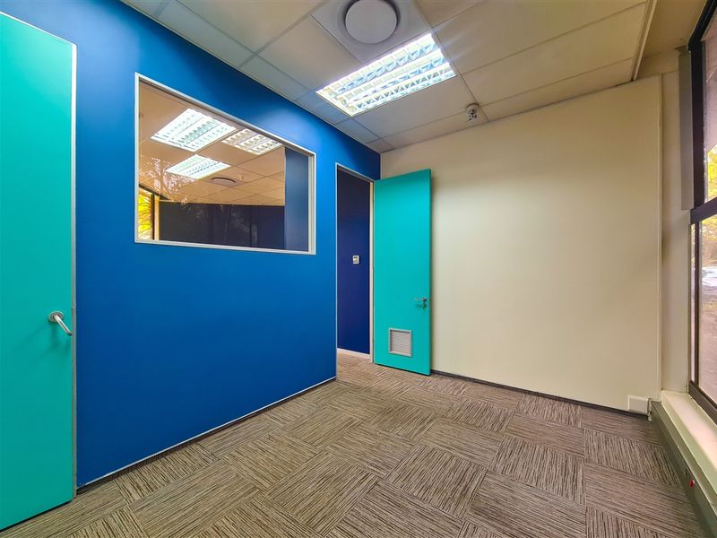 A bright, empty office space featuring carpet tiles, a suspended ceiling with recessed lighting, and a modern blue accent wall with an internal glass partition.