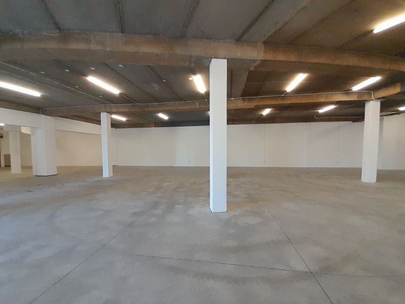 429m Showroom Retail Space To Let at The Link - Photo 7