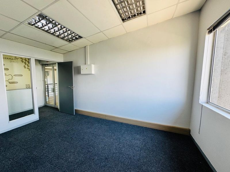 A clean, empty office space featuring a suspended ceiling with recessed lighting, carpeted flooring, and a large window providing natural light.