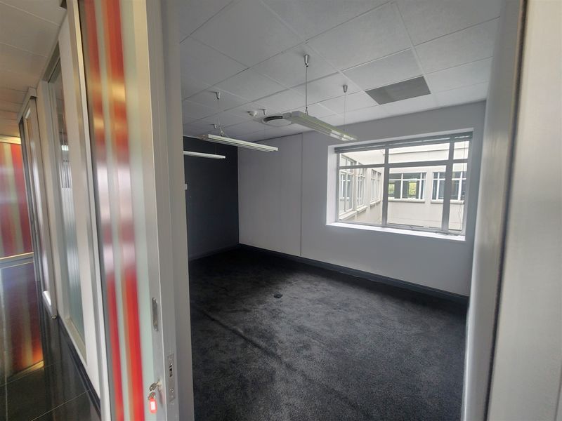 A vacant office space featuring dark carpeting, a suspended ceiling with integrated lighting, and large windows overlooking an internal courtyard.