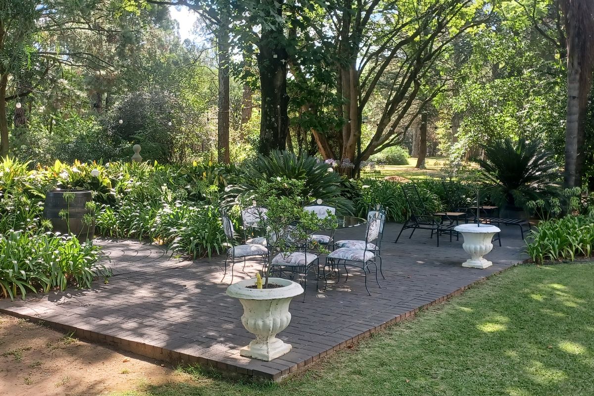 Upmarket executive guest house for sale in Hilldrop. Sole and Exclusive Listing. - Photo 5