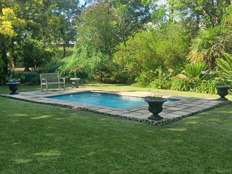 A well-maintained swimming pool set within a lush, landscaped garden, featuring stone coping and a paved surround.